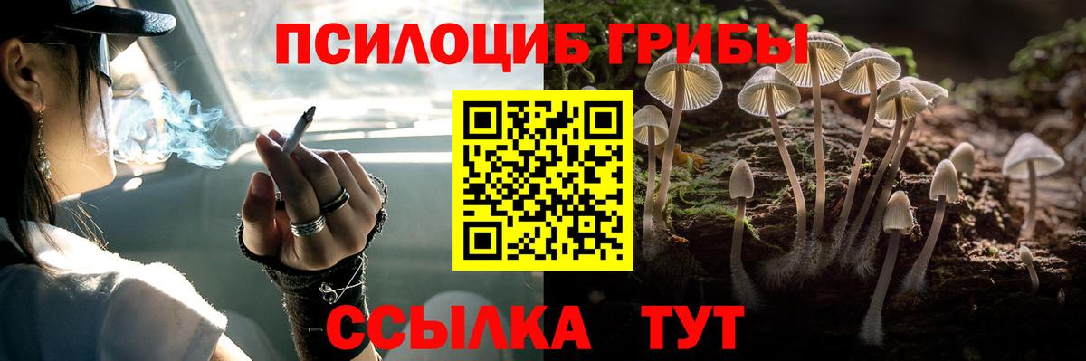 Псилоцибиновые грибы мухоморы Кулебаки