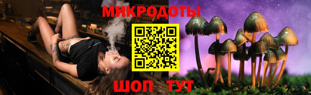 Кулебаки  Галлюциногенные грибы прущие грибы  Вход с VPN  Псилоцибиновые грибы MAGIC MUSHROOMS 